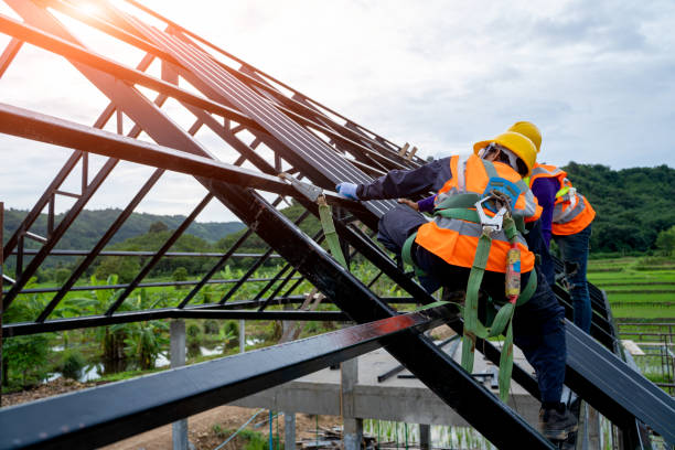 Best Metal Roofing Contractor  in Belen, NM